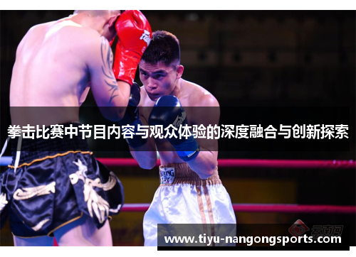 拳击比赛中节目内容与观众体验的深度融合与创新探索