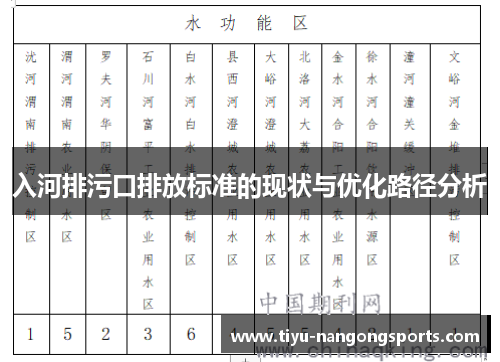入河排污口排放标准的现状与优化路径分析