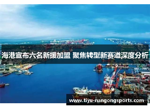海港宣布六名新援加盟 聚焦转型新赛道深度分析