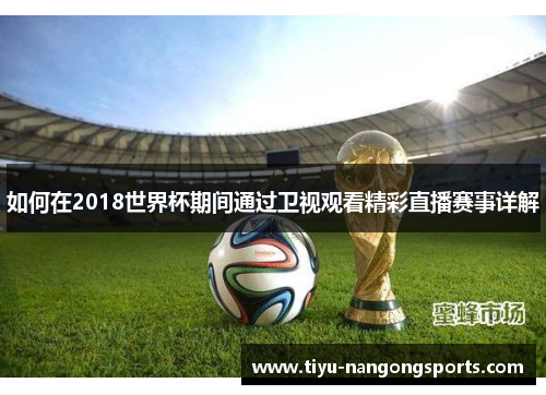 如何在2018世界杯期间通过卫视观看精彩直播赛事详解