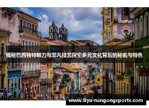揭秘巴西独特魅力与非凡技艺探索多元文化背后的秘密与特色